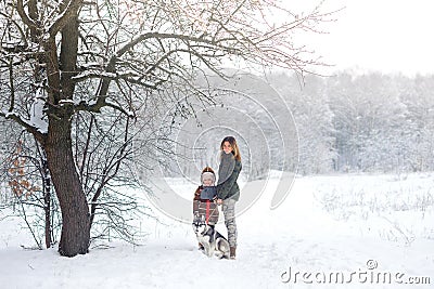 happy family walks with a puppy huskies Stock Photo