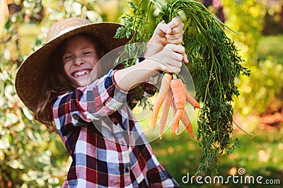 Happy farmer child girl picking fresh home growth carrot harvest from own garden Stock Photo