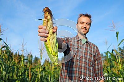 Happy farmer with fresh corncob on corn field. Harvest season. Handsome smiling man agronomist showing ripe maize to camera Stock Photo