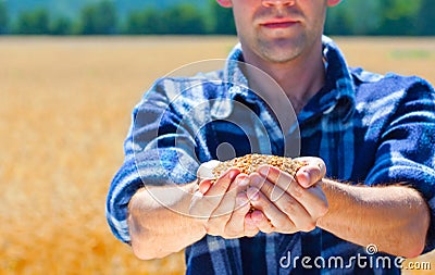 Happy farmer holding ripe wheat corns Stock Photo