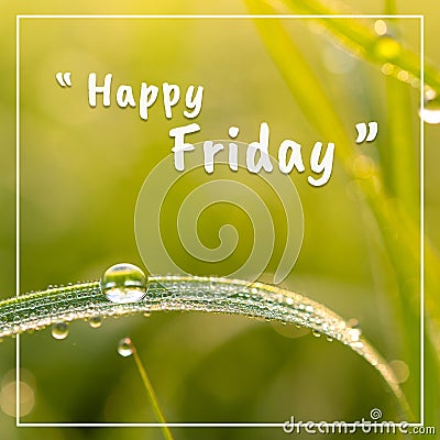 Happy friday words and dew on the grasson, On green background Stock Photo