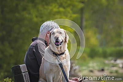 Happy friends man and dog Labrador sitting on the bench in the park. Dog mens best friend. Man with cute dog outdoor Stock Photo