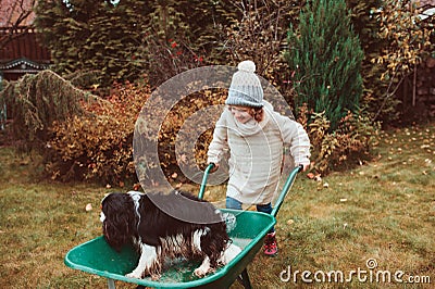 Happy funny child girl riding her dog in wheelbarrow in autumn garden, candid outdoor capture Stock Photo