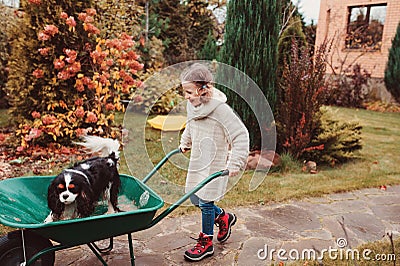 Happy funny child girl riding her dog in wheelbarrow in autumn garden, candid outdoor capture Stock Photo