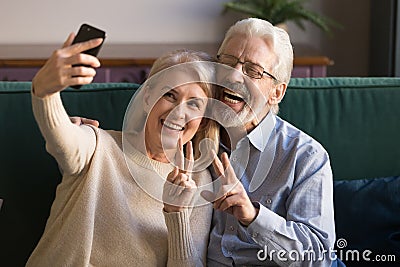 Happy funny mature senior couple taking selfie looking at smartphone Stock Photo