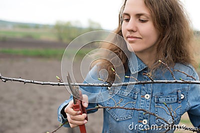 Happy gardener woman using pruning scissors in orchard garden. Pretty female worker portrait Stock Photo