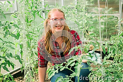 Happy gardener woman in gloves and care tomatoes in greenhouse. Gardening and floriculture. Garden care Stock Photo