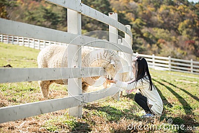 Happy girl feeding sheep ranch Stock Photo