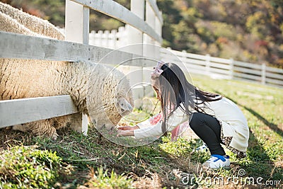 Happy girl feeding sheep ranch in South Korea Stock Photo