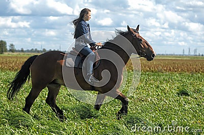Girl in jeans rides a horse in a field in summer Stock Photo