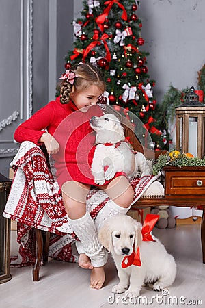 Happy girl with two puppies Golden Retriever on a background of Christmas tree Stock Photo