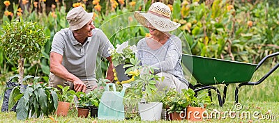 Happy grandmother and grandfather gardening Stock Photo