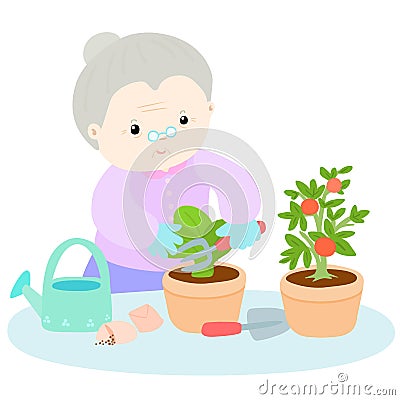 Happy grandmother love plant lettuce Vector Illustration