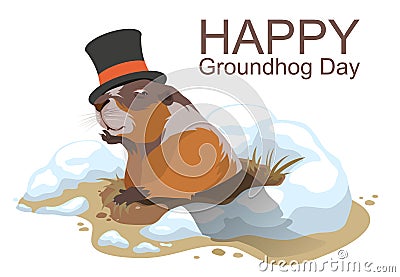 Happy Groundhog Day. Marmot climbed out of hole Vector Illustration