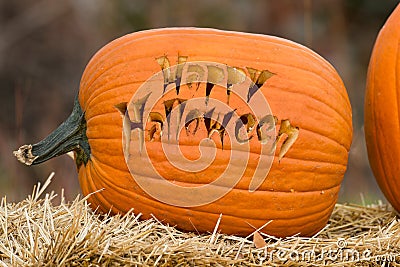 Happy Halloween Stock Photo