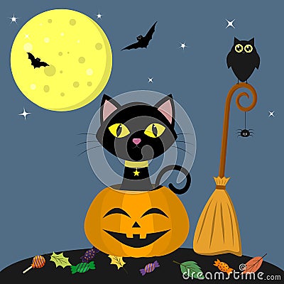 Happy Halloween. A black cat is sitting in a pumpkin. Near the broom, owl, spider. Full moon at night, bats, leaves and Vector Illustration