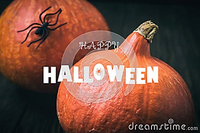 Happy Halloween poster, pumpkins and spider on dark background Stock Photo