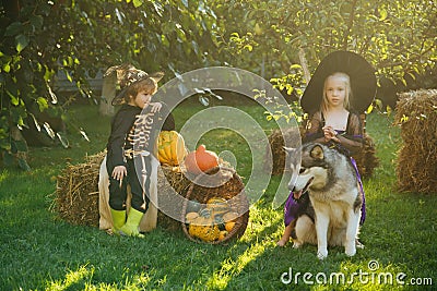 Happy Halloween with sweets candles. Two kids like skeleton or witch Ready for Trick or Treat. Halloween on countryside Stock Photo