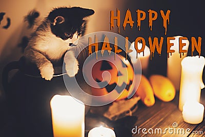 Happy Halloween text concept. Seasons greeting, spooky Halloween Stock Photo