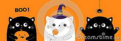 Happy Halloween. White black cat set holding pumpkin, sweet candy. Hanging spider insect. Witch hat cap. Boo. Cute kawaii cartoon Vector Illustration