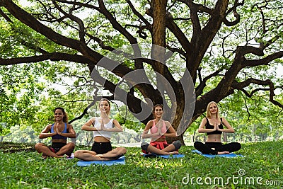 Happy healthy four woman teenagers training and practicing fire log yoga pose in the park in the morning. healthy, sport and Stock Photo