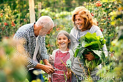 Senior couple with grandaughter gardening in the backyard garden Stock Photo