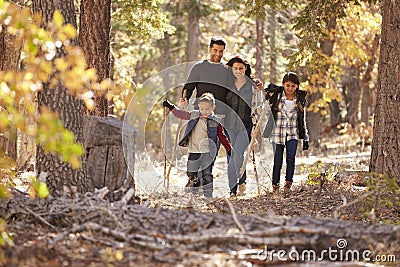 Happy Hispanic family with two children walking in a forest Stock Photo