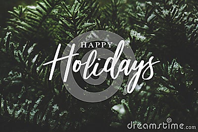 Happy Holidays Text Over Winter Evergreen Branches Covered in Snow Stock Photo