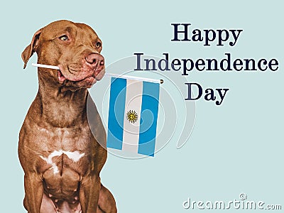 Happy Independence Day. Charming puppy and Flag of Argentina Stock Photo