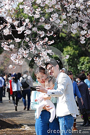 Happy Japanese Family taking Photo under Cherry blossoms Editorial Stock Photo