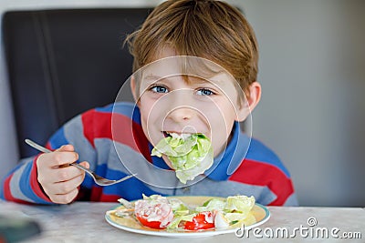 Happy kid boy eating fresh salad with tomato, cucumber and different vegetables as meal or snack. Healthy child enjoying Stock Photo