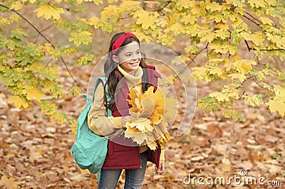 happy kid in casual style spend time gathering fallen maple leaves in autumn park enjoying good weather carry backpack Stock Photo