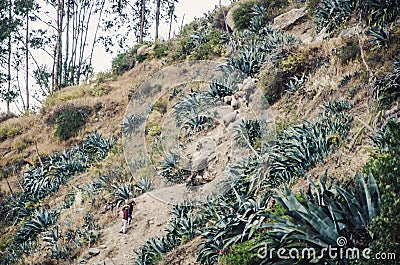 Happy kid climbs a winding mountain trail followed by his mother Stock Photo