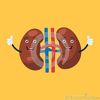 Happy kidney character Vector Illustration