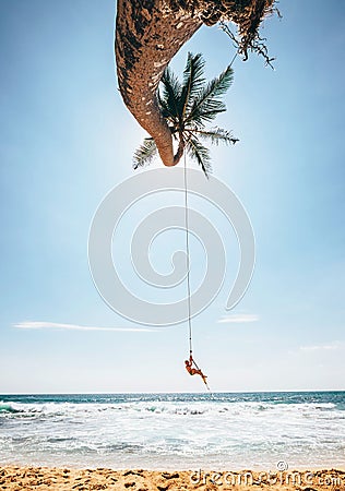 Happy little boy dangles on tropical palm tree swing Stock Photo