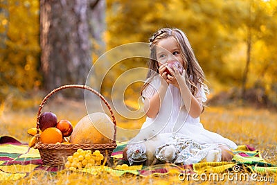 Happy little children picking apples in the garden. Warm sunny weather. Funny little preschool child having fun with Stock Photo