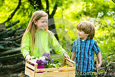 Happy little farmers having fun on field. Cute toddler girl and boy working on farm outdoors. Schoolchildren planting Stock Photo