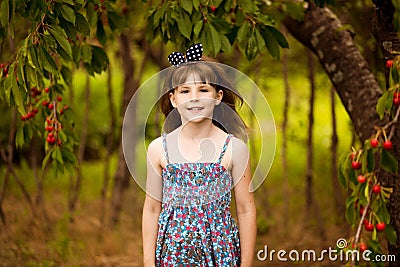 Happy little girl play near cherry tree in summer garden. Kid picking cherry on fruit farm. Child pick cherries in summer orchard. Stock Photo