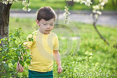 Happy little kid boy with brown eyes sitting on the grass daisies flowers in the park Stock Photo