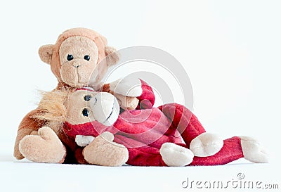 The happy loving couple, Best friends are hugging and lovely monkeys in love mode in Valentine Stock Photo