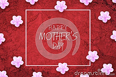 Happy Mother`s Day lettering on red background with beautiful spring flowers. Congratulatory background. Festive card Stock Photo