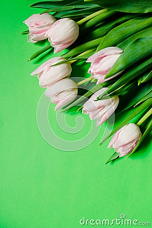 Happy mother`s day, pink tulips on green background. greeting card concept. spring flowers flat lay.Mother`s Day Stock Photo