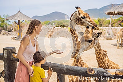 Happy mother and son watching and feeding giraffe in zoo. Happy family having fun with animals safari park on warm Stock Photo