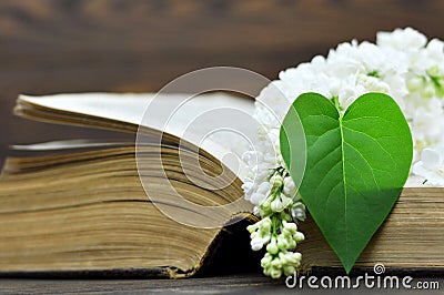 Happy Mothers Day card: Lilac flower and heart shaped leaf Stock Photo