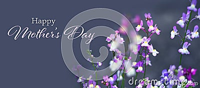 Happy Mothers Day card. Spring flowers in the garden Stock Photo