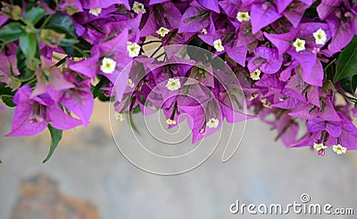 Happy mothers day,colorful flowers , small gift boxes, Stock Photo