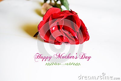 happy mothers day with flower Stock Photo