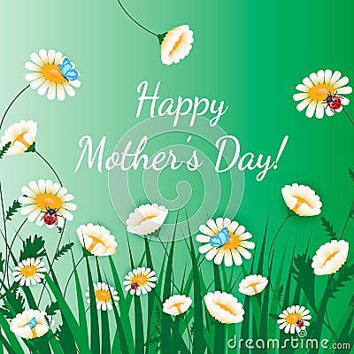 Happy Mothers Day greeting card. Grass with white chamomiles on green. Floral nature background. Vector flower with butterfly and Vector Illustration