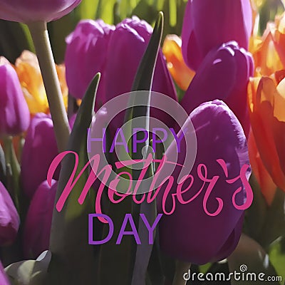 Happy Mothers Day square greeting design. Purple, pink tulips and hand-lettered greeting phrase Stock Photo