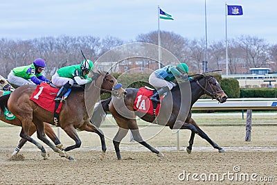 Happy Music on New Years Day Wins the Opener Editorial Stock Photo